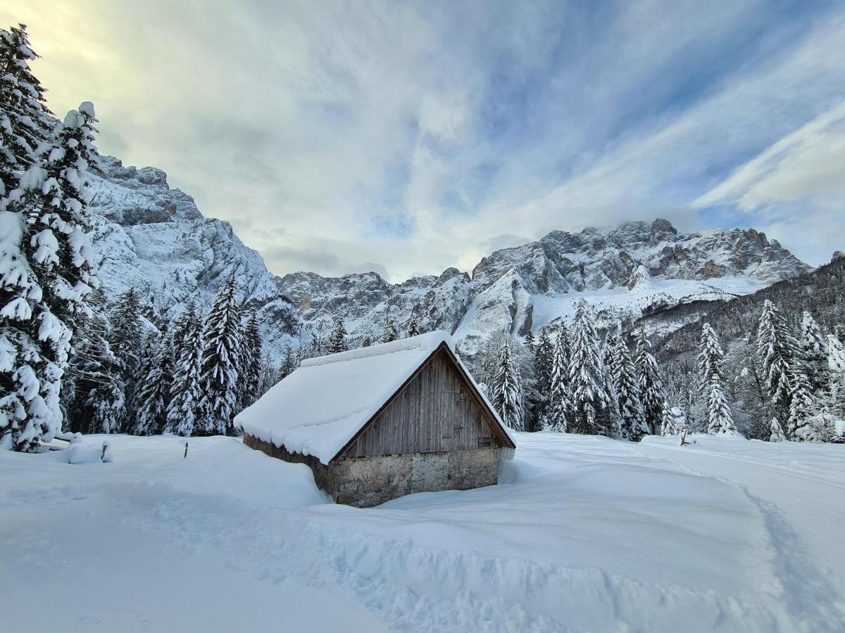 Chalet Camporosso Camporosso  Екстериор снимка