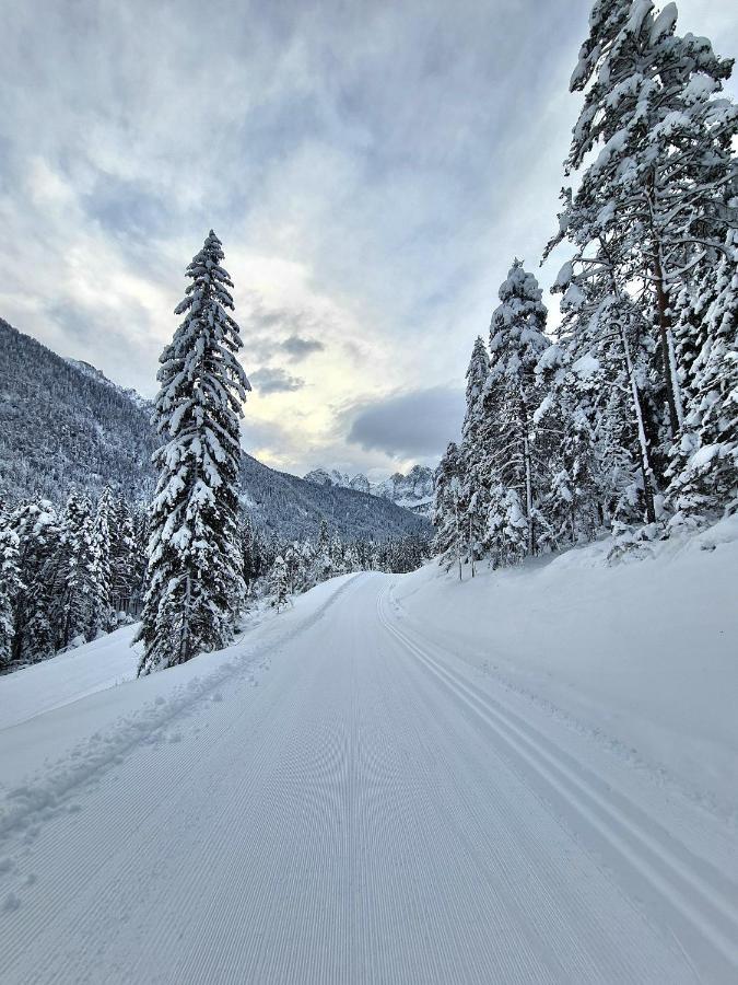 Chalet Camporosso Camporosso  Екстериор снимка